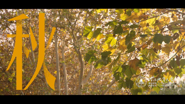 6月14日 (7)-14 00_00_00-00_00_30.gif